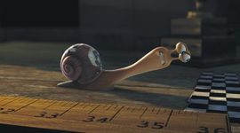 Timeline: Line in the time