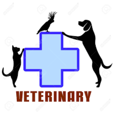 Timeline: Historia de la medicina veterninaria