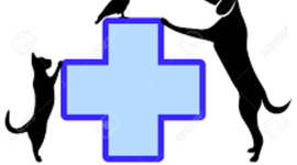 Timeline: Historia de la medicina veterninaria