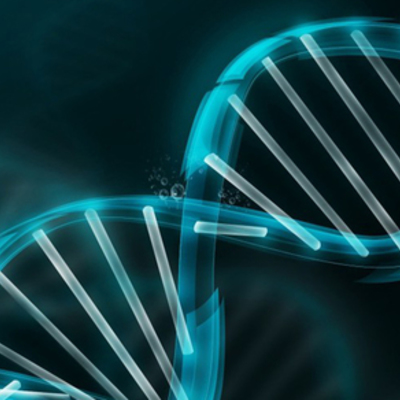 Timeline: Antecedentes històricos de la genètica