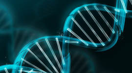 Timeline: Antecedentes històricos de la genètica