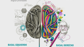 Timeline: Las neurociencias de la Conducta "Un viaje que no se detiene"