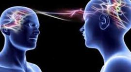 Timeline: NEUROCIENCIA DE LA CONDUCTA