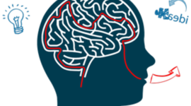 Timeline: COGNITIVO - CONDUCTUALL