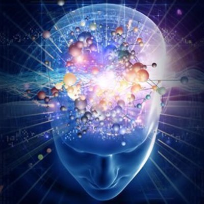 Timeline: ¿De donde viene y para donde va el cerebro?