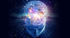 Timeline: ¿De donde viene y para donde va el cerebro?