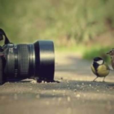 Timeline: Timeline of Fotografía