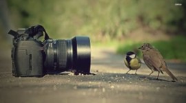 Timeline: Timeline of Fotografía