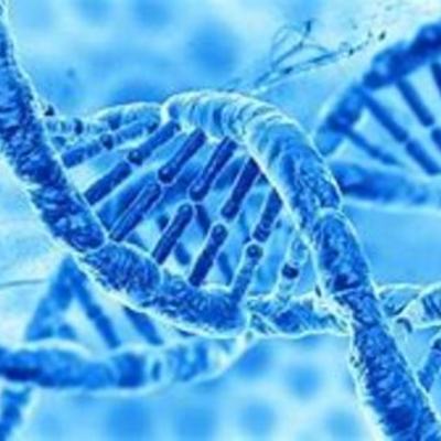 Timeline: HECHOS QUE LLEVARON AL DESCUBRIMIENTO DEL ADN