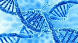 Timeline: HECHOS QUE LLEVARON AL DESCUBRIMIENTO DEL ADN