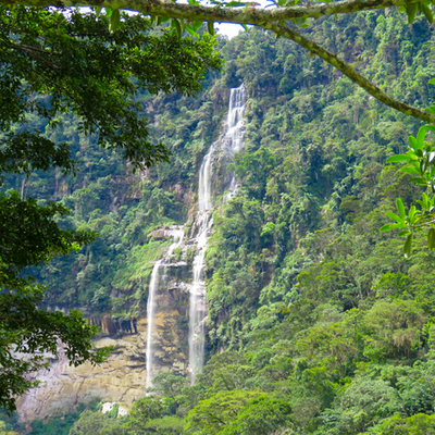 Timeline: Tarapoto and its wonders