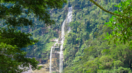 Timeline: Tarapoto and its wonders