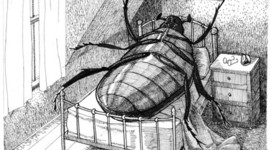 Timeline: La metamorfosis