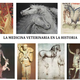 Historia medicina veterinaria
