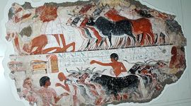 Timeline: historia de la medicina veterinaria