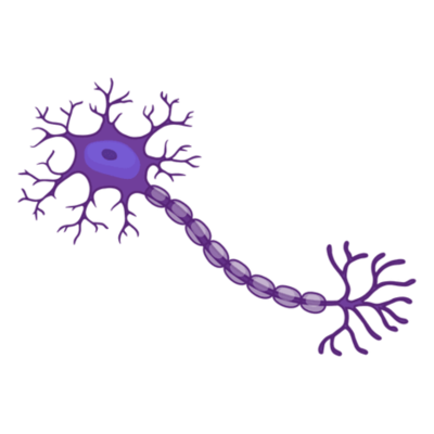 Timeline: Historia reciente de las Neurociencias del Comportamiento