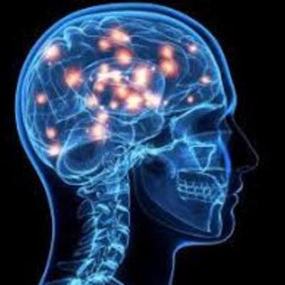 Timeline: DE DÓNDE VIENE Y PARA DÓNDE VA EL CEREBRO