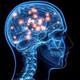 Imagen cerebro