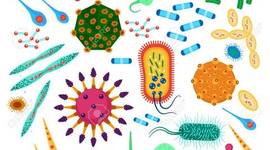 Timeline: Microbiolgía