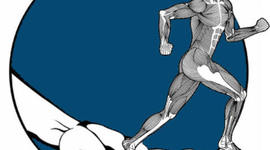 Timeline: Introducción a la Fisioterapia