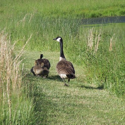 Timeline: Test Timeline