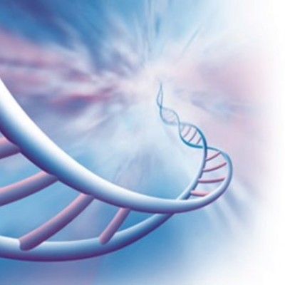 Timeline: Origen de la Ética y la Bioética