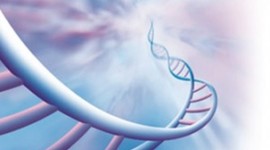 Timeline: Origen de la Ética y la Bioética