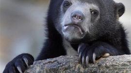 Timeline: Personal & Historic Timelines