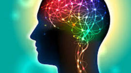 Timeline: Historia de las Neurociencias