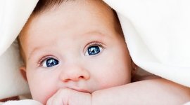 Timeline: Mi Biografia