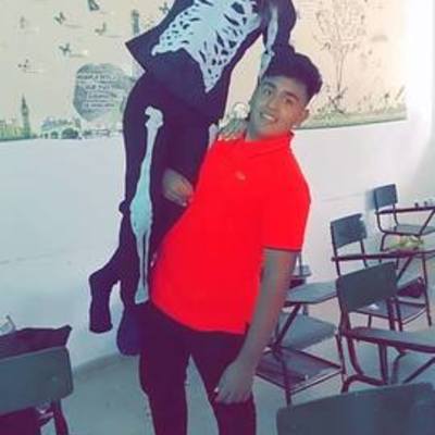 Timeline: mi feliz vida