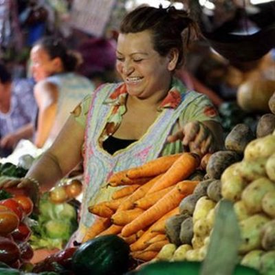 Timeline: Etapas del Desarrollo de Marketing