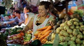 Timeline: Etapas del Desarrollo de Marketing