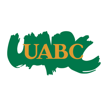 Timeline: Etapas evolutivas de la comunicación