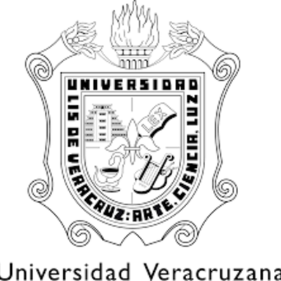 Timeline: My crazy life