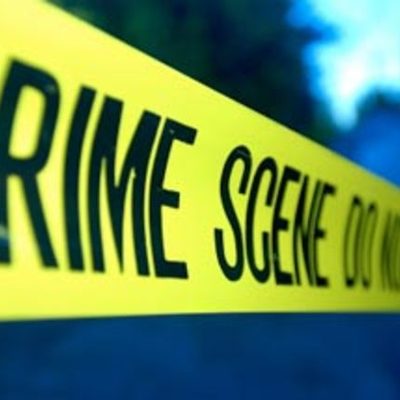 Timeline: History of Forensics