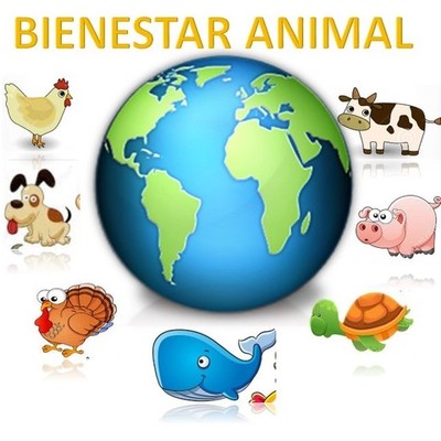 Timeline: Corrientes Filosóficas del Bienestar Animal