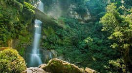 Timeline: Tarapoto´s Timeline