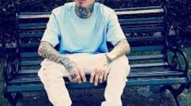 Timeline: nanpa basico