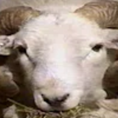 Timeline: Avances científicos y tecnológicos