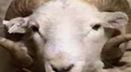 Timeline: Avances científicos y tecnológicos