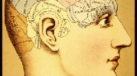 Timeline: Aspectos Históricos de la Neuropsicología