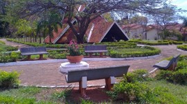 Timeline: Aniversario