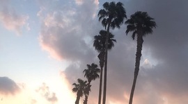 Timeline: Personal Timeline