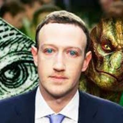 Timeline: THE ZUCC