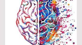 Timeline: Historia de la psicofisiologia