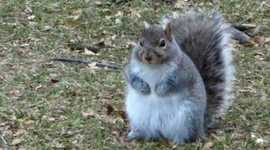 Timeline: History of Radio and TV