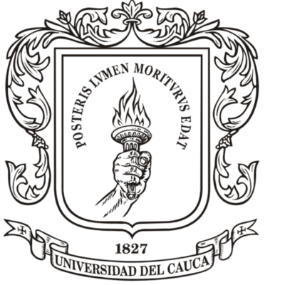 Timeline: Etapa profesional del cuidado