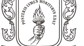 Timeline: Etapa profesional del cuidado