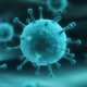 Virus